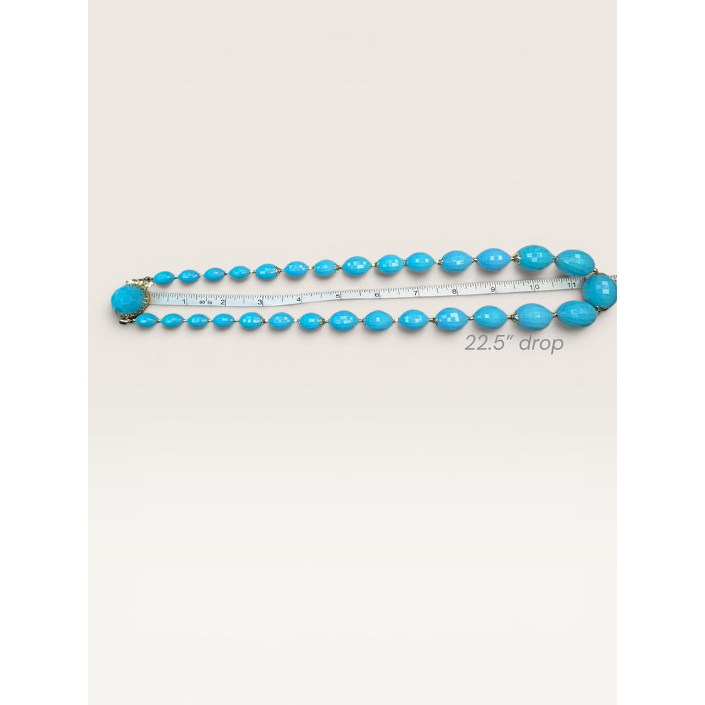 Hong Kong Blue Molded Plastic Acrylic Bead Necklace Clip Earrings Set Vintage