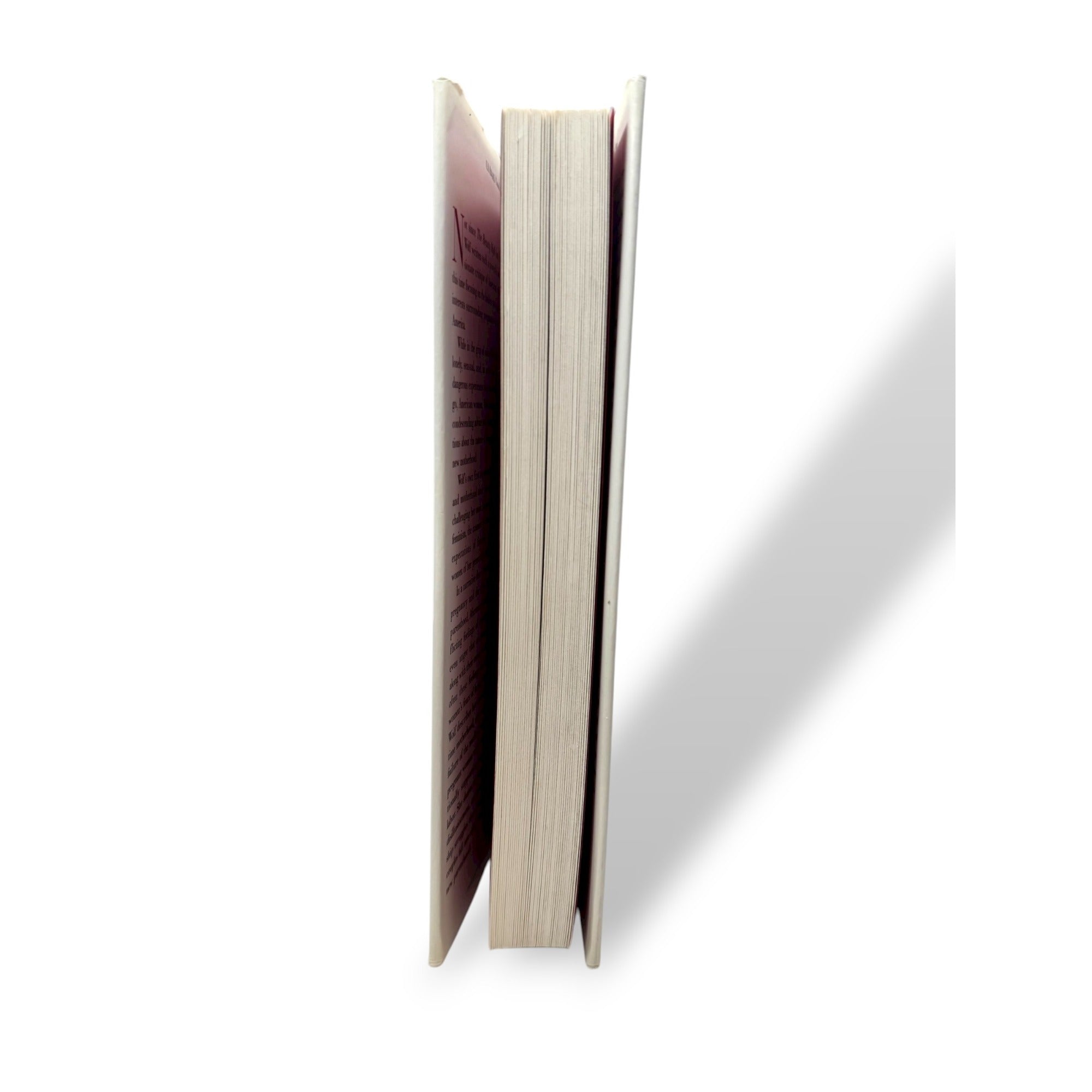 Misconceptions By Naomi Wolf Hardcover Truth About Motherhood Experience