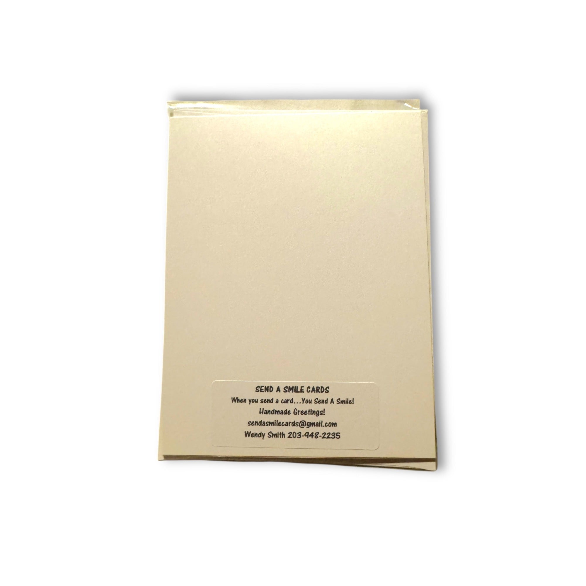 Send A Smile Handmade Blank Greeting Card Holiday Poinsettia Red Green